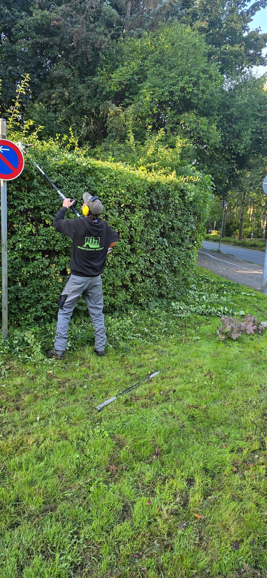 Heckenschnitt mit professioneller Schere